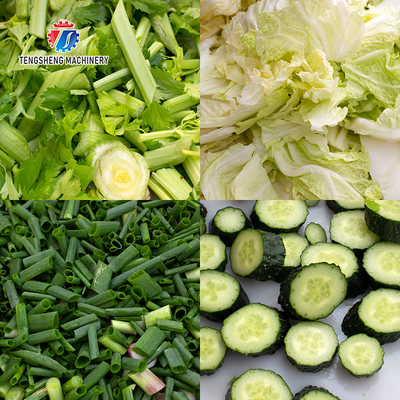 Balsam Pear Rutabaga Industrial Fruit Slicer , Fresh Organism Vegetable Cube Cutting Machine