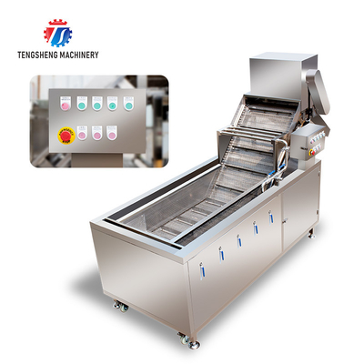 2.6KW Commercial vegetable washing machine Vegetable bubble cleaning machine vegetable cleaning equipment