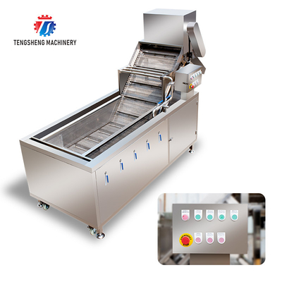 2.6KW Multi-functional fruit and vegetable bubble cleaning machine bubble cleaning machine equipment