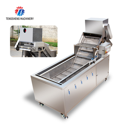 2.6KW Multi-functional fruit and vegetable bubble cleaning machine bubble cleaning machine equipment