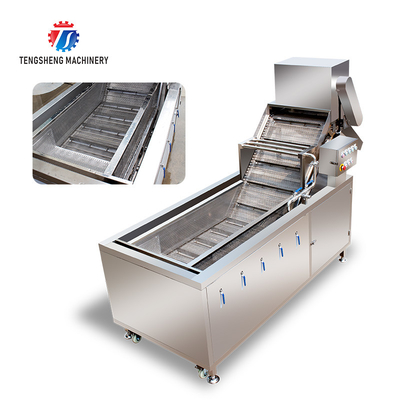 2.6KW Commercial vegetable washing machine Vegetable bubble cleaning machine vegetable cleaning equipment