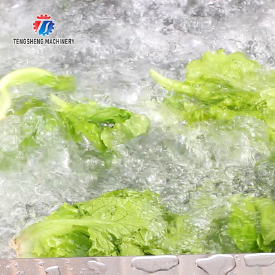 2.6KW Multi-functional fruit and vegetable bubble cleaning machine bubble cleaning machine equipment