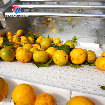 Circulating Showers Floater Removal Industrial Fruit Washing Machine Honeydew Melon
