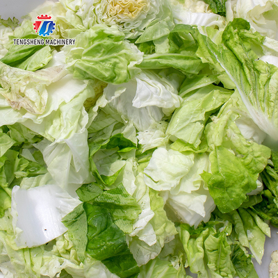 180KG Automatic large vegetable leaf cutting machine kitchen fruit and vegetable processing and cutting equipment