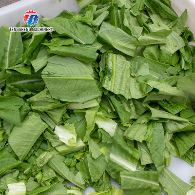 180KG Automatic large vegetable leaf cutting machine kitchen fruit and vegetable processing and cutting equipment