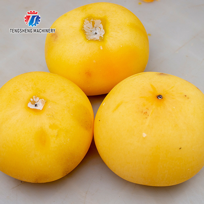220V Industrial commercial fruit and vegetable peeler Apple pear persimmon peeler