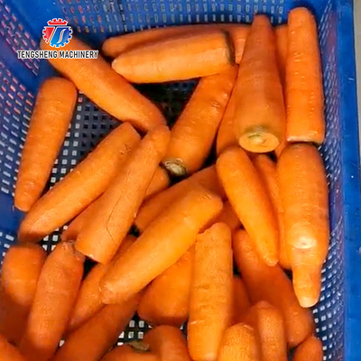 Automatic Stainless Steel Carrot Peeling Machine 0.1kw Food Processing Line