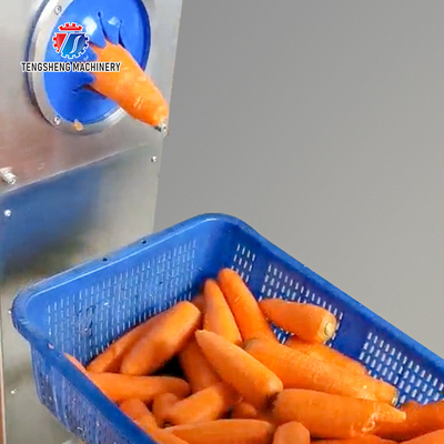 Automatic Stainless Steel Carrot Peeling Machine 0.1kw Food Processing Line