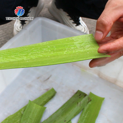 1500KG/H 429KG Cactus aloe plant peeling processing machinery large peeling machine soft plant peeling peeling