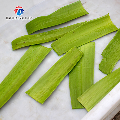 1500KG/H 429KG Cactus aloe plant peeling processing machinery large peeling machine soft plant peeling peeling