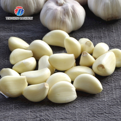 90KG 220V Garlic peeling machine red onion peeling machine commercial electric automatic garlic peeling machine