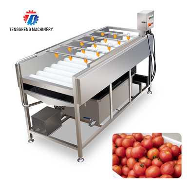 2.5KW Rhizome large parallel roller cleaning machine tomato potato sweet potato cleaning high pressure spray