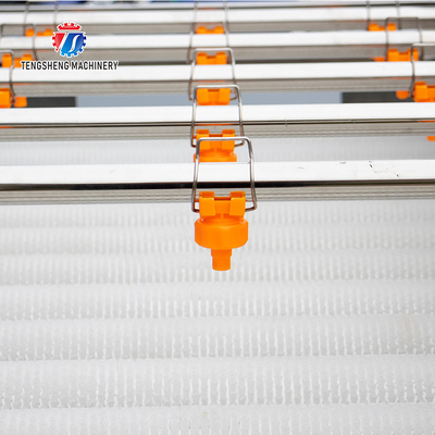 2.5KW Rhizome large parallel roller cleaning machine tomato potato sweet potato cleaning high pressure spray