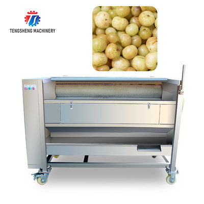 Root Veg 1.5KW Commercial Potato Washer ,  Kiwifruit Lotus Root Potato Peeler Machine