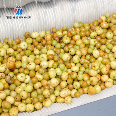 Root Veg 1.5KW Commercial Potato Washer ,  Kiwifruit Lotus Root Potato Peeler Machine