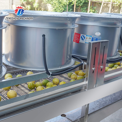 350KG Vegetable drain air drying machine stainless steel fruit and vegetable air drying complete equipment parallel type