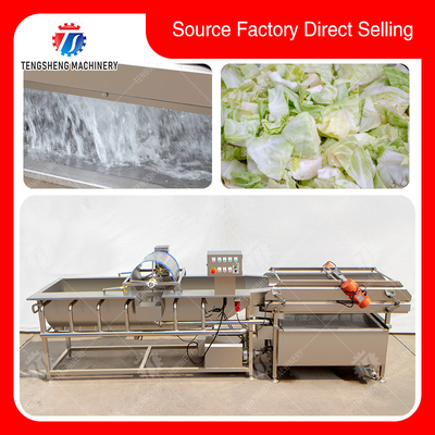 300KG/H Electric Vegetable Processing Machine Multi - Functional Fruit Cutting