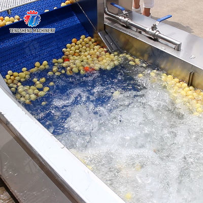 Orange Potato  Potatoes round tuber crops Carrots and longitudinal root vegetables Onions Cabbage varieties Fruiting veget Large-scale fruit and vegetable washing drying and cutting production line