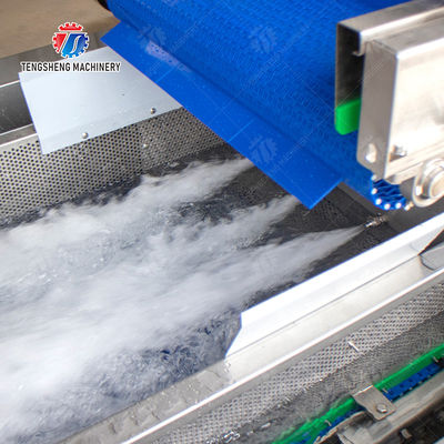 vegetable wash line pineapple juice processing line Pineapple bubble washing and vibrating air-drying line fruit processing machinery pineapple processing line