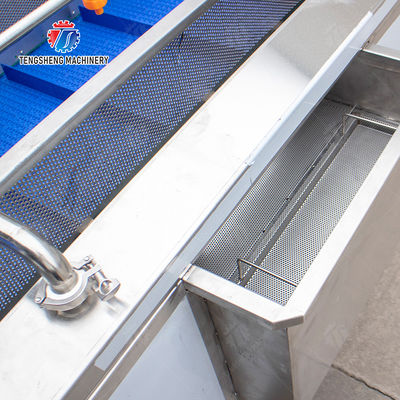 vegetable wash line pineapple juice processing line Pineapple bubble washing and vibrating air-drying line fruit processing machinery pineapple processing line