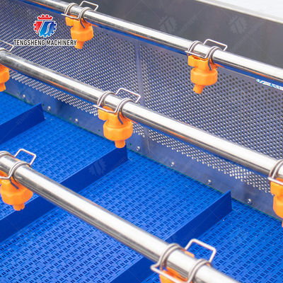 vegetable wash line pineapple juice processing line Pineapple bubble washing and vibrating air-drying line fruit processing machinery pineapple processing line