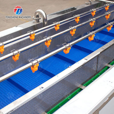 vegetable wash line pineapple juice processing line Pineapple bubble washing and vibrating air-drying line fruit processing machinery pineapple processing line