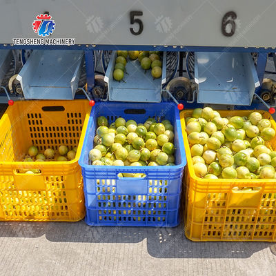 Silvery Personalization Passion Fruit And Vegetable Processing Line Fruit Cleansing Drying