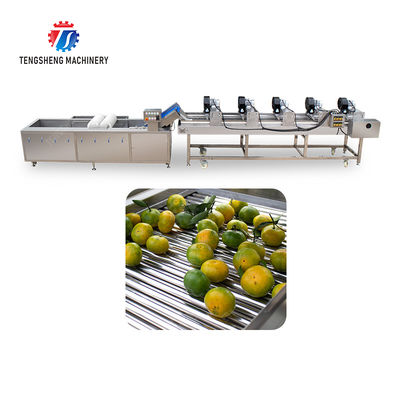 Fruits cleaning and drying production line Fruit Vegetable FOOD processing production Machine