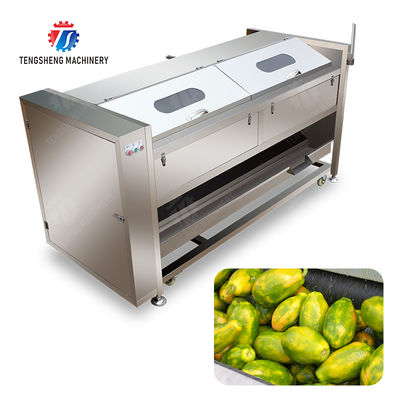 Wash Washer Washing Cleaning processing production Destoning Sealed Cover Type Peeling Machine Ginger Potato Carrot Taro Sweet potato Yam Saiko persimmon papaya horseshoe macadamia nut