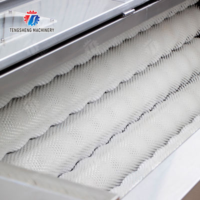 Wash Washer Washing Cleaning processing production Destoning Sealed Cover Type Peeling Machine Ginger Potato Carrot Taro Sweet potato Yam Saiko persimmon papaya horseshoe macadamia nut