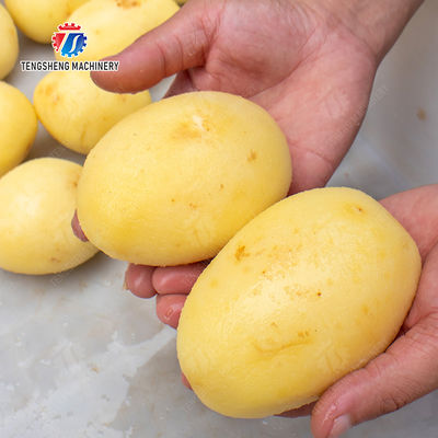 Potato peeling machine Potatoes and round tuber crops Ginger Taro Sweet potato Yam processing production Machine