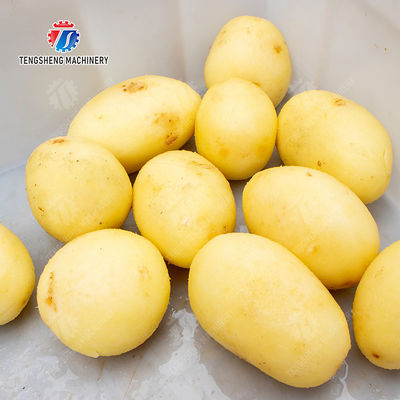 Potato peeling machine Potatoes and round tuber crops Ginger Taro Sweet potato Yam processing production Machine