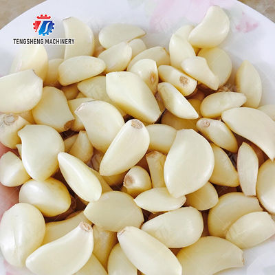 Garlic Peeling Machine garlic Destoning Peeling & polishing processing production