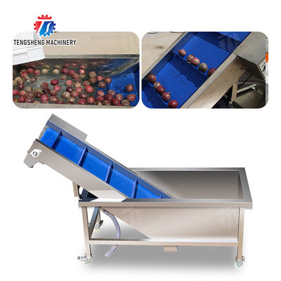 Fruit Orange Potatoes round tuber crops Carrots longitudinal root Onions Leafy vegetables Cabbage varieties Apple chieh-qua Ginger Potato Carrot radish lemon kiwi fruit Passion Pre foaming elevator