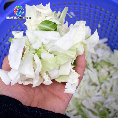 380KG Stainless steel centrifuge potato industrial dehydrator dehydrates fruits and vegetables quickly