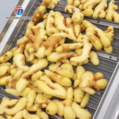 SS304 Fruit And Vegetable Processing Line For Central Kitchens