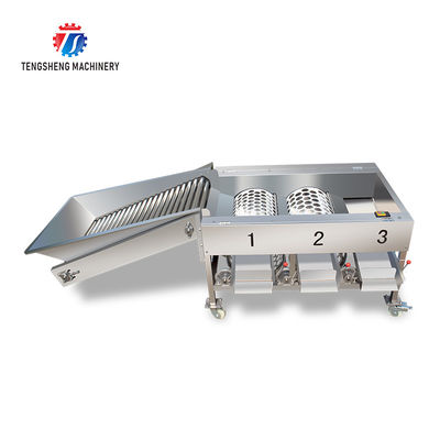 2.5KW Vegetable Fruit Sorting Machine Roller Barrel Grading equipment