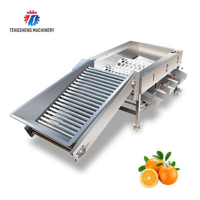 150KG 380V Lemon screening and grading machine stainless steel fruit sorting machine citrus fruit sorting machine
