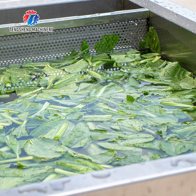 85KG Fruit and vegetable cleaning equipment Spinach washing machine small vegetable washing machine vegetable leaf clean
