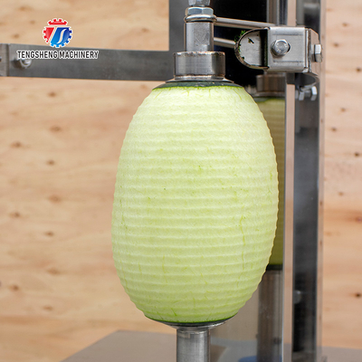 0.75KW 380VPapaya peeler and peeler food processing and catering equipment multifunctional peeler
