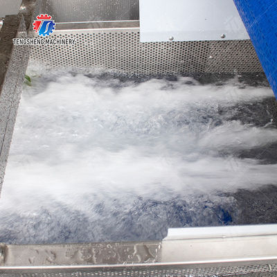 vegetable wash line pineapple juice processing line Pineapple bubble washing and vibrating air-drying line fruit processing machinery pineapple processing line