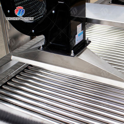 Fruits cleaning and drying production line Fruit Vegetable FOOD processing production Machine