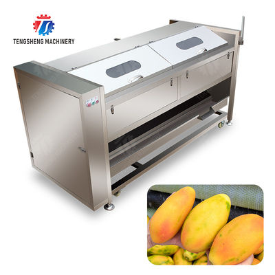 Wash Washer Washing Cleaning processing production Destoning Sealed Cover Type Peeling Machine Ginger Potato Carrot Taro Sweet potato Yam Saiko persimmon papaya horseshoe macadamia nut