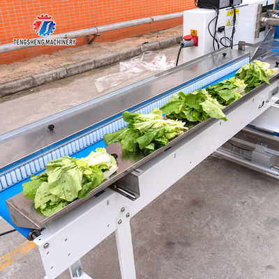 Leaves Vegetables Carrots and longitudinal root vegetables Onions Leafy vegetables Cabbage varieties Fruiting vegetables Saiko persimmon Fruit and Vegetable Pillow Packaging Machine