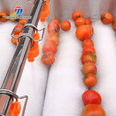 Orange Potato  Onions Ginger Potato Carrot Taro Sweet potato Yam Saiko persimmon papaya horseshoe Simple melon and fruit lifting and brush roller cleaning production line