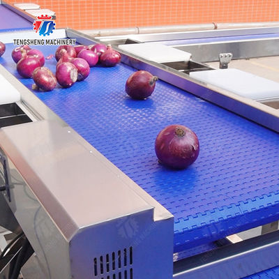 Conveyor Production Line Simplified Orange Potato  Onions Ginger Potato Carrot Taro Sweet potato Yam Saiko persimmon papaya horseshoe processing production Grading Transporting Machine