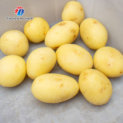 Potatoes and round tuber crops Ginger Potato Carrot Taro Sweet potato Potato peeling machine processing production