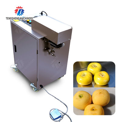 Persimmon peeling machine processing production Supplying Machine