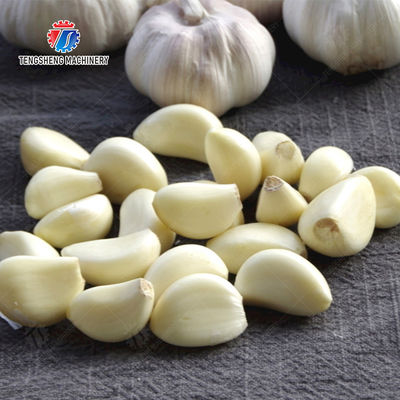 Garlic Peeling Machine garlic Destoning Peeling & polishing processing production