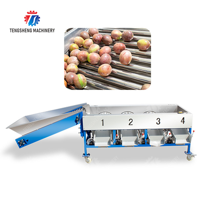 Mandarine tutku meyvesi avokado kiraz mango armut muz mangostan kivi meyvesi denetim sınıflandırma nakliye işleme üretim meyve ve sebze sınıflandırma makinesi